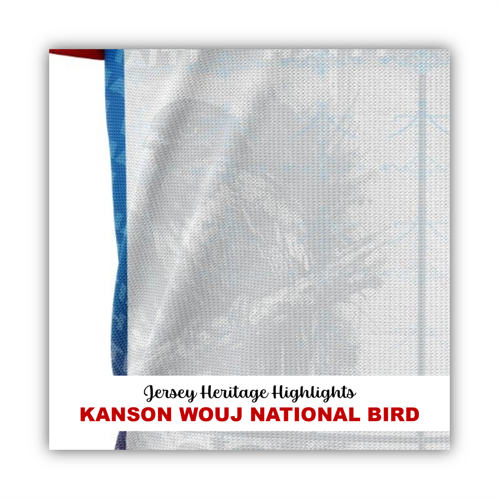 2026 Haiti Heritage Soccer Jersey - WHITE