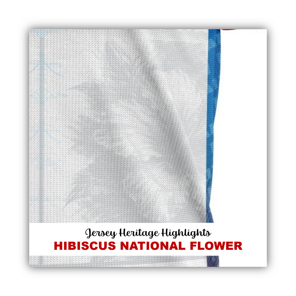 2026 Haiti Heritage Soccer Jersey - WHITE